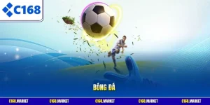 Bóng đá