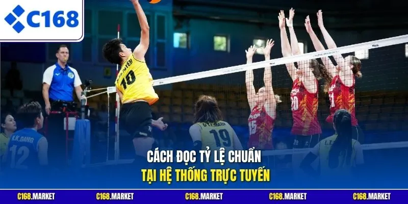 Cách đọc tỷ lệ chuẩn tại hệ thống trực tuyến