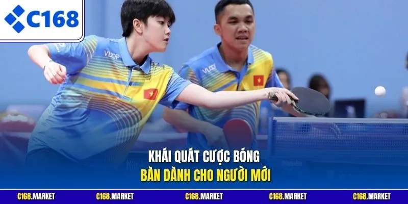 Khái quát cược bóng bàn dành cho người mới