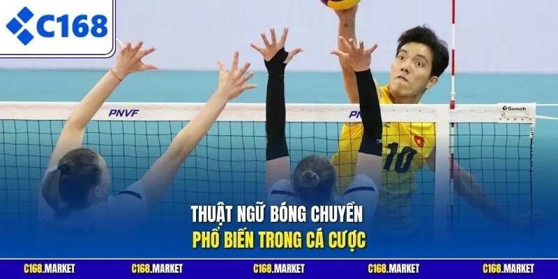 Thuật ngữ bóng chuyền phổ biến trong cá cược